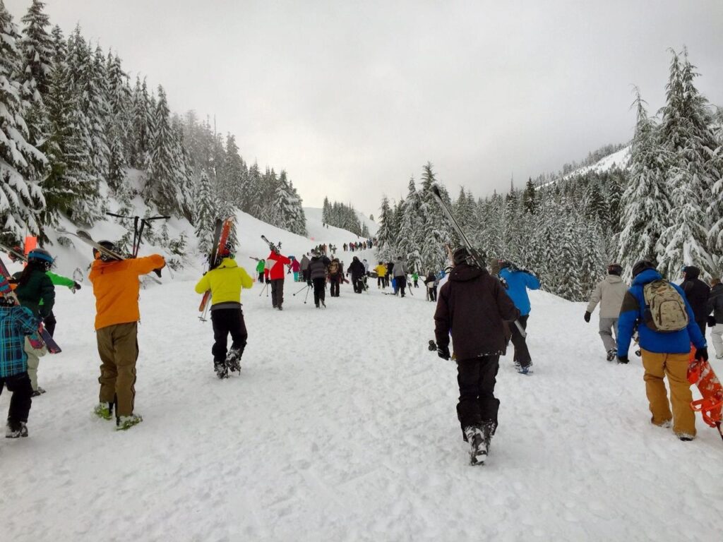 winter activity