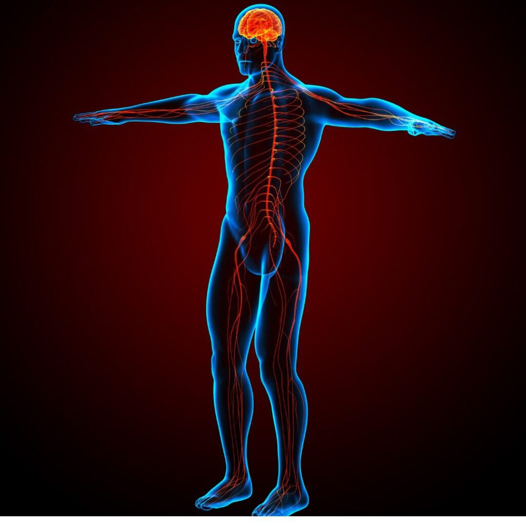 peripheral neuropathy