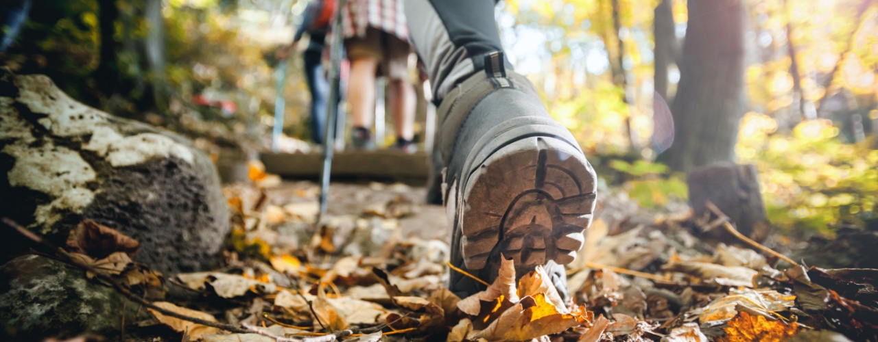 physiotherapy-center-ankle-pain-relief-msk-health-and-performance-clinic-vancouver-burnaby-metrotown-bc