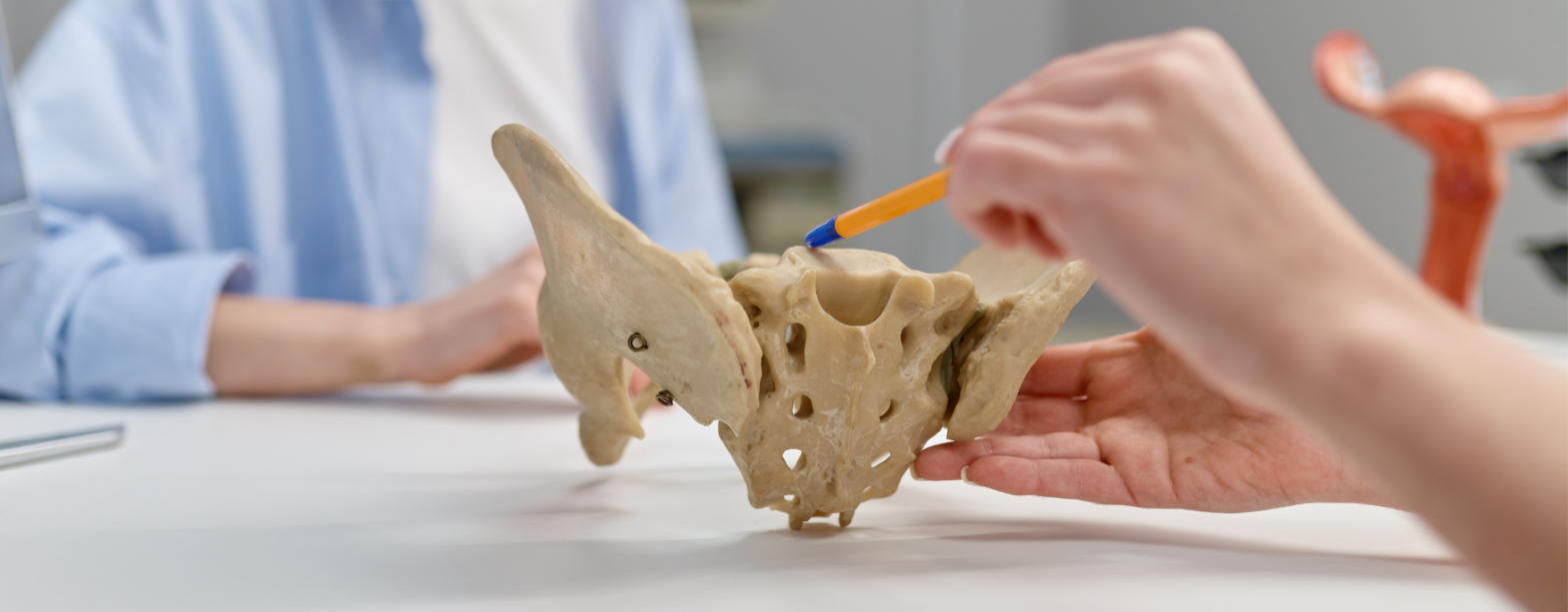 Pelvic-Pain-Photo4-MSK-Health-and-Performance-Clinics-BC